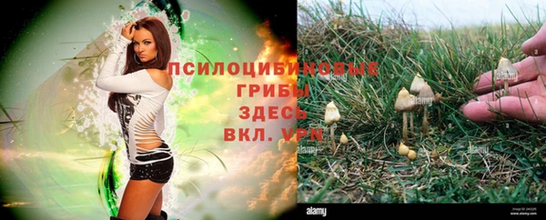 гашишное масло Абдулино