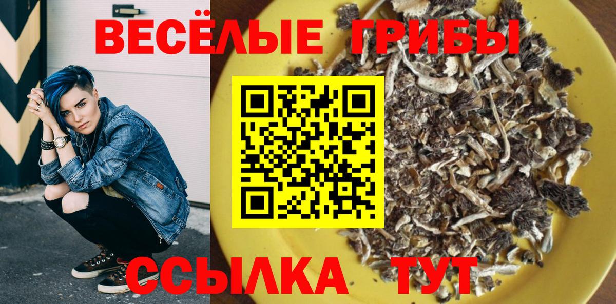 Галлюциногенные грибы Psilocybe  Псилоцибиновые грибы GOLDEN TEACHER  наркотики  Вход с VPN  Прокопьевск 