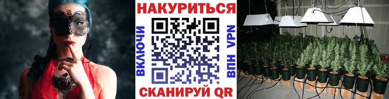 где можно купить Прокопьевск МАРИХУАНА VHQ